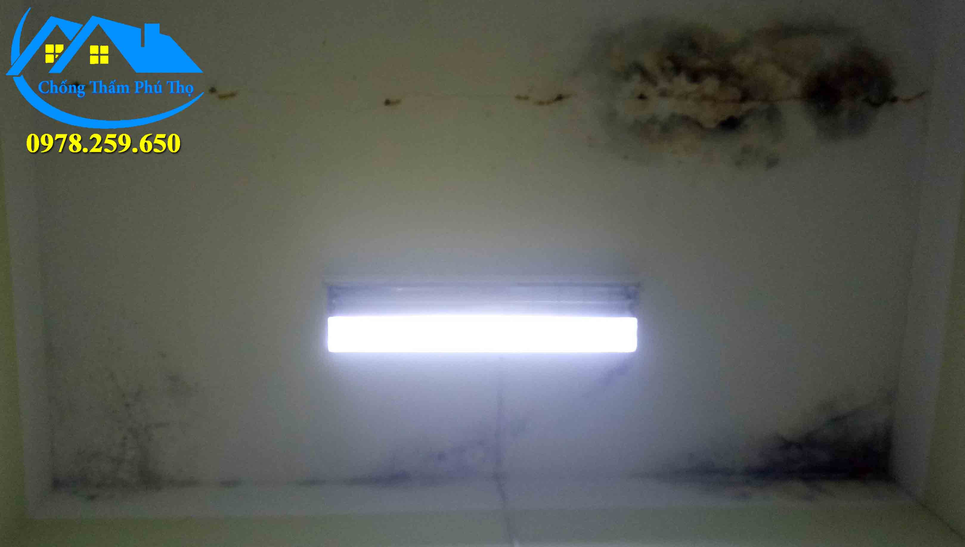 chống thấm trần nhà triệt để 100% tại việt trì